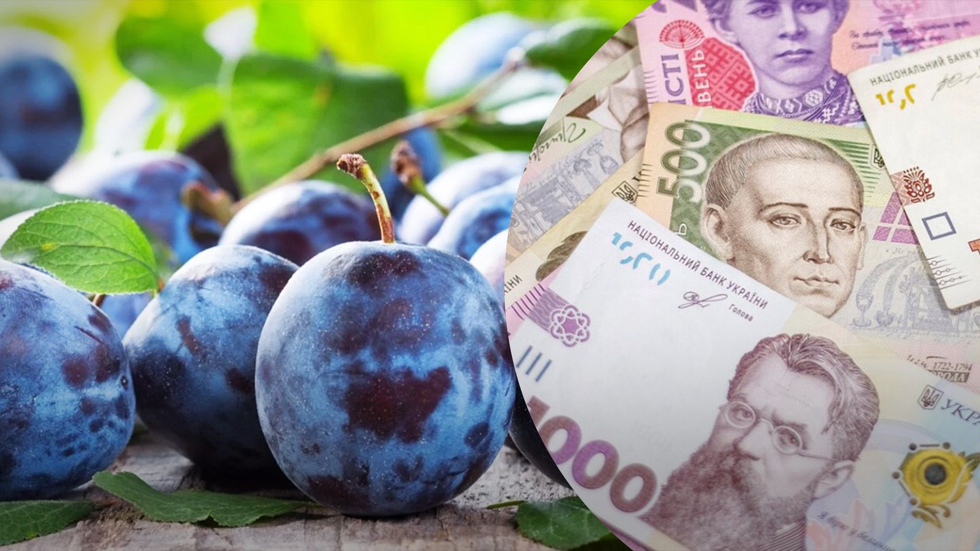 В Україні подешевшала слива В Україні подешевшала слива