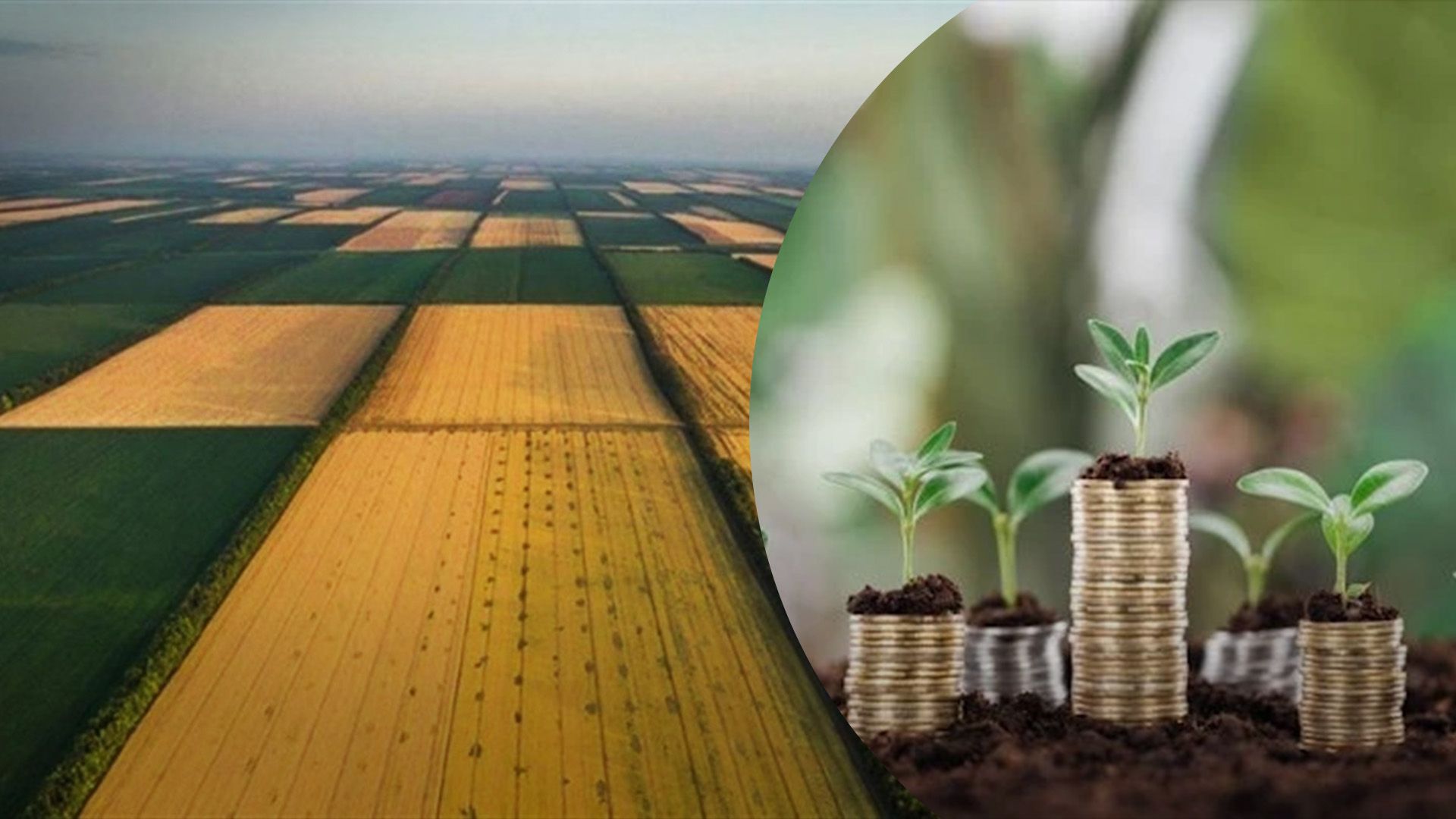 Який податок на землю у 2024 році Який податок на землю у 2024 році