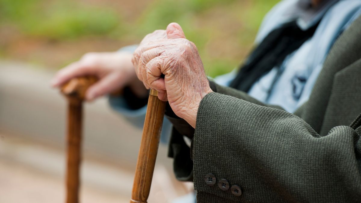 Льготы на проезд пенсионерам Льготы на проезд пенсионерам