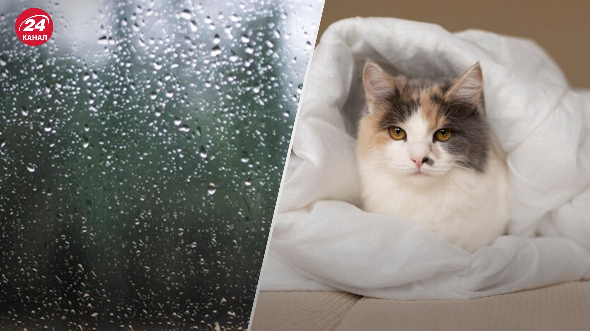 Погода Погода