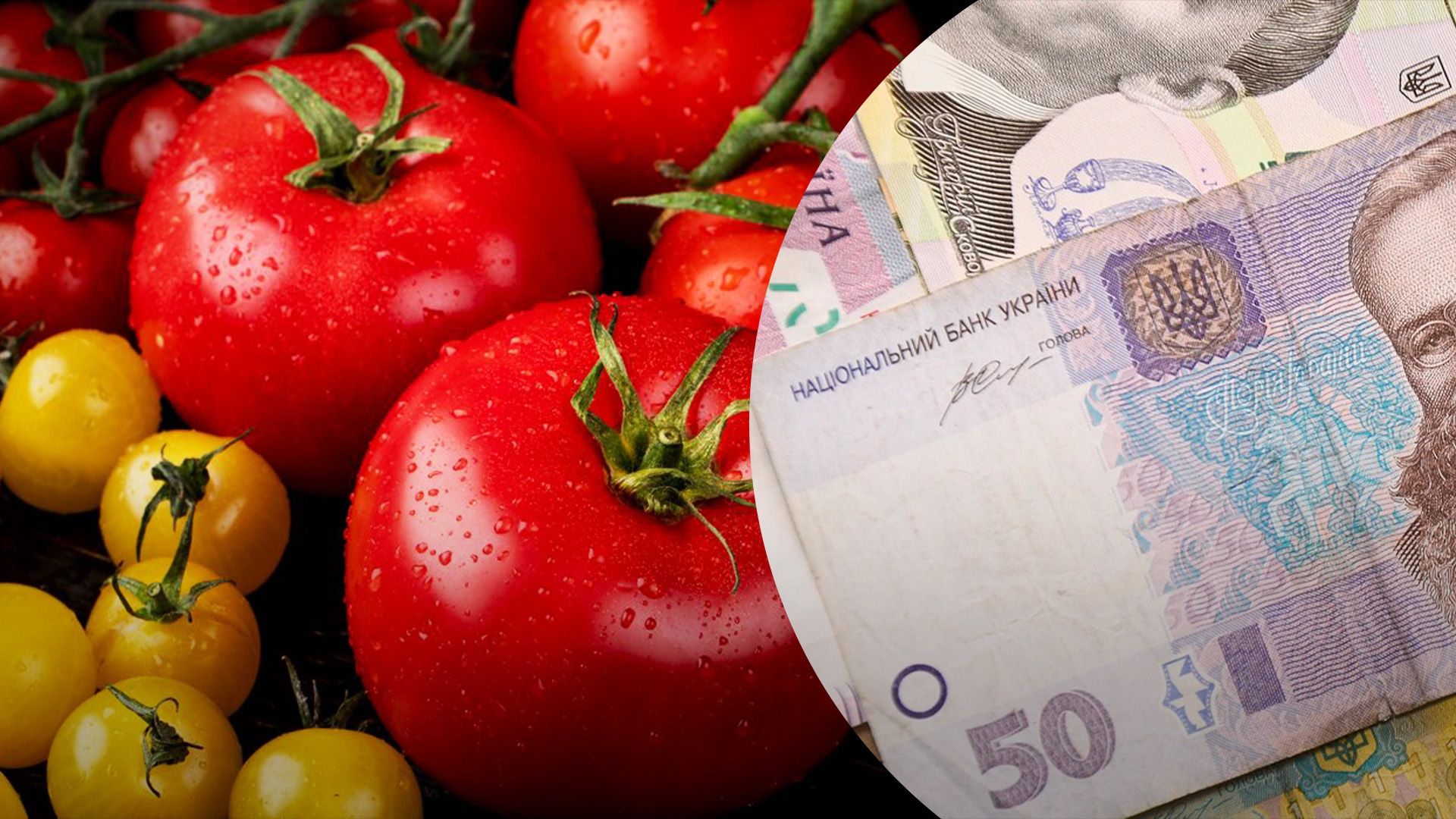 Помидоры снова дорожают в Украине Помидоры снова дорожают в Украине