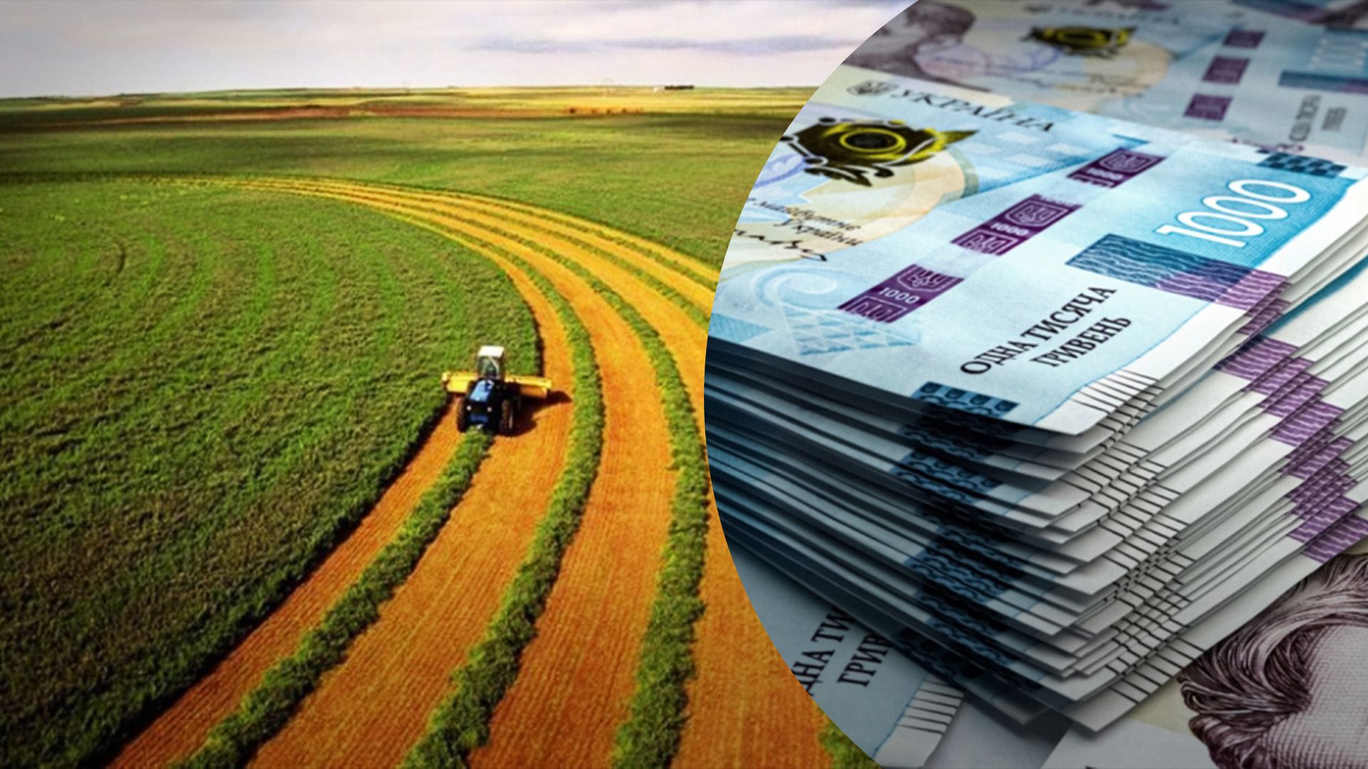 Як відрізняються ціни на землю в регіонах Як відрізняються ціни на землю в регіонах