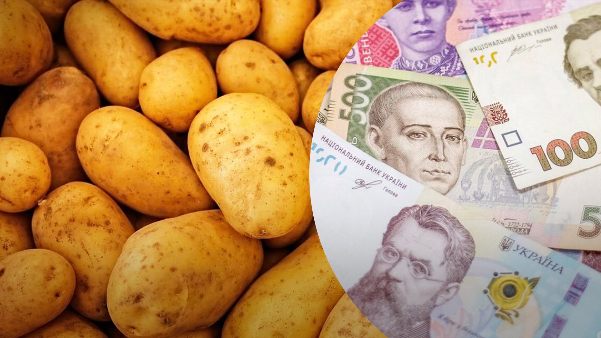 Картопля знову росте у ціні Картопля знову росте у ціні
