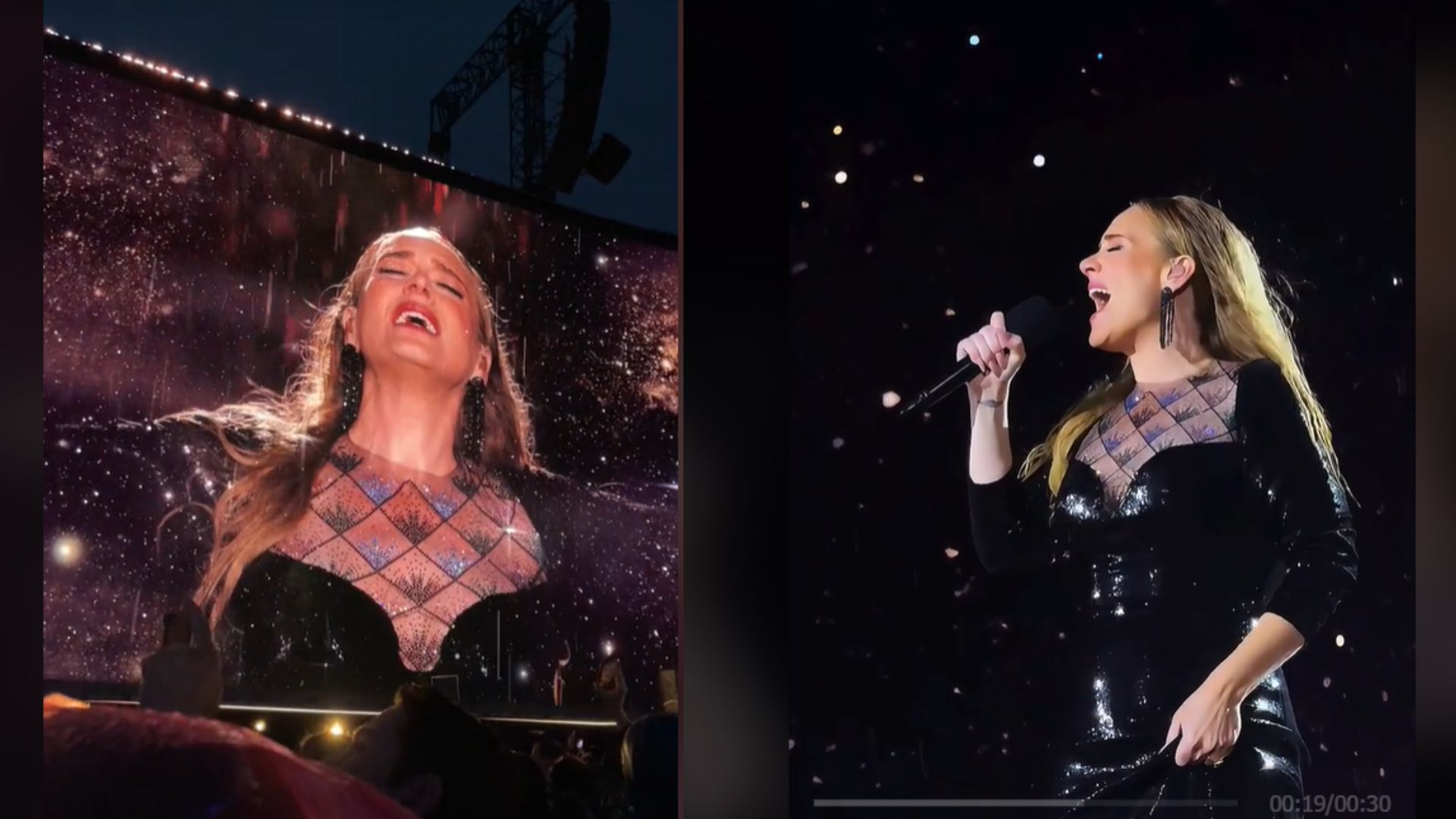 Адель на концерті в Мюнхені Адель на концерті в Мюнхені