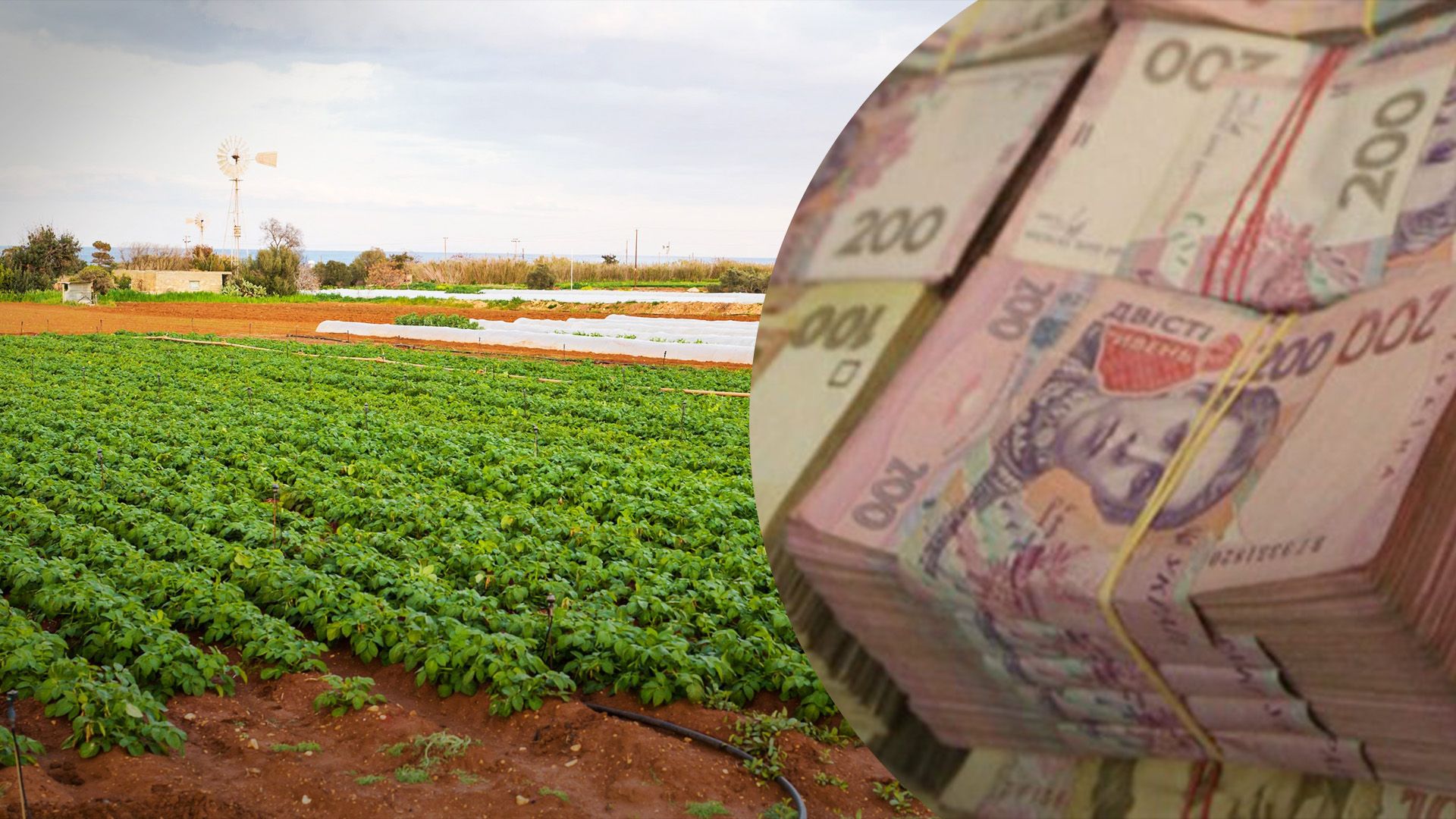 Какие цены на землю сейчас в Украине Какие цены на землю сейчас в Украине