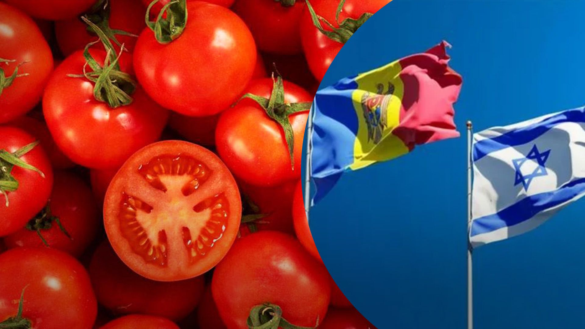 Молдова зможе продавати помідори в Ізраїль Молдова зможе продавати помідори в Ізраїль