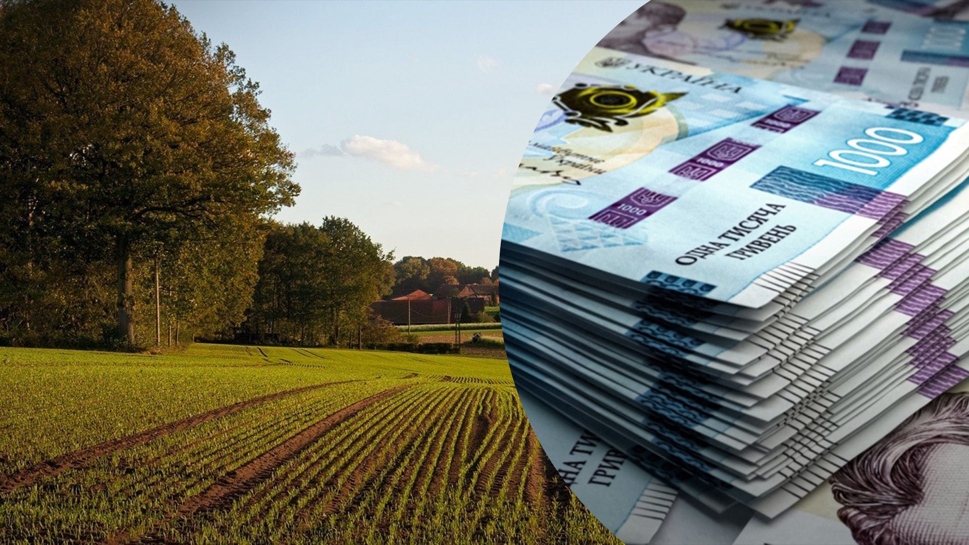 За сколько можно продать пай За сколько можно продать пай