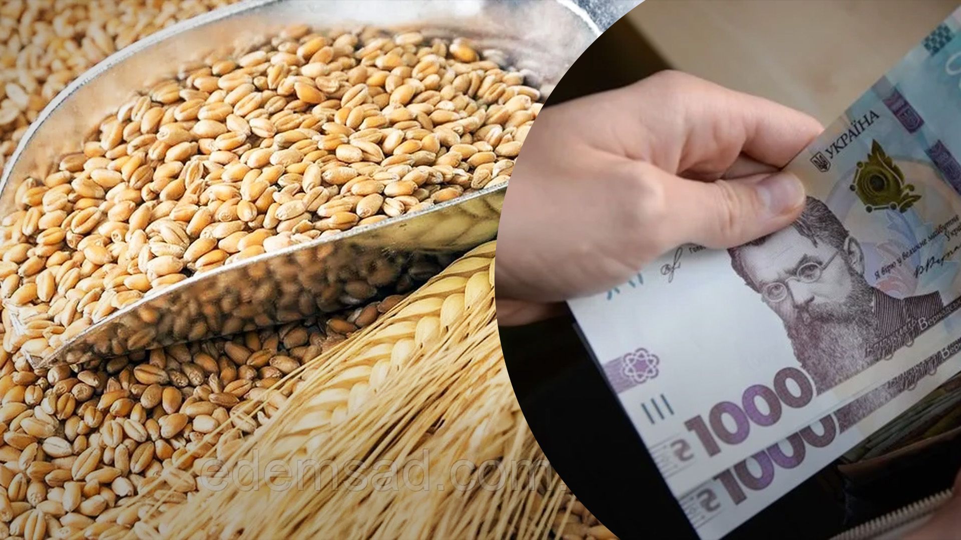 Цены на пшеницу и прогнозы Цены на пшеницу и прогнозы