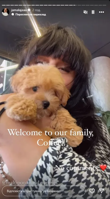 Джамала показала свого нового домашнього улюбленця Джамала показала свого нового домашнього улюбленця