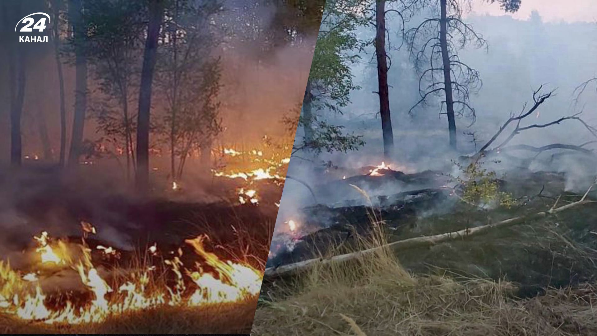 Пожар в Александрийском лесничестве Пожар в Александрийском лесничестве