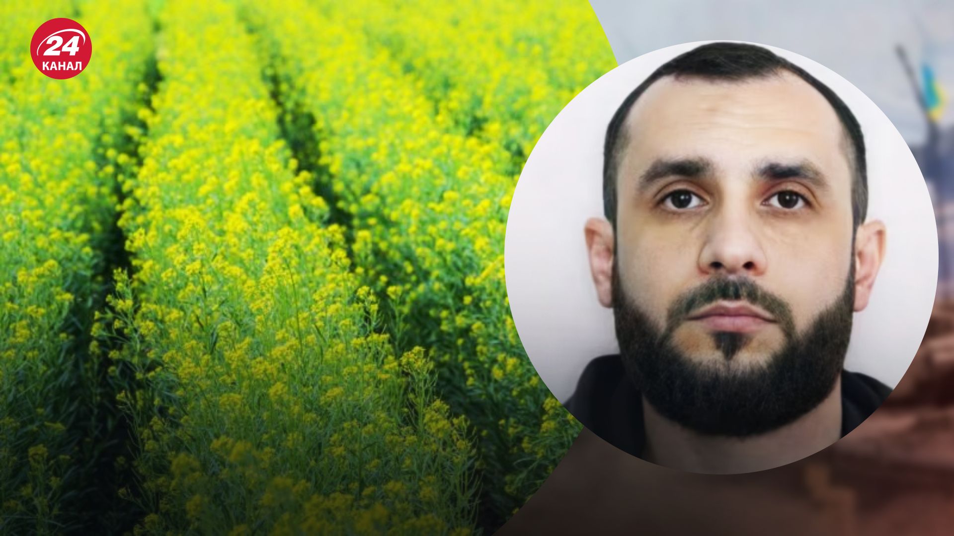 Россия продает украинский рапс в Беларусь Россия продает украинский рапс в Беларусь