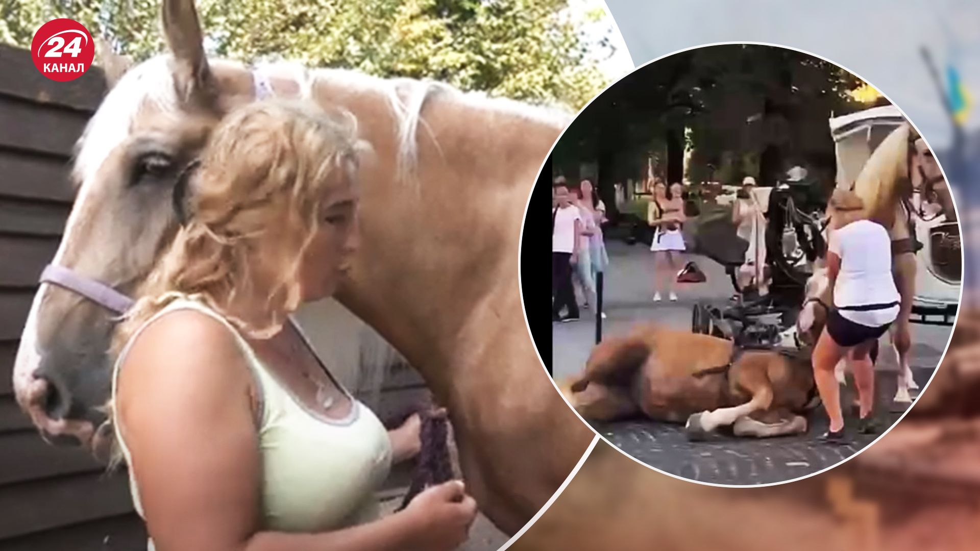 Садовий про заборону на коней у Львові - рішення має бути мудрим, слід почути ветеринарів - Pets Садовий про заборону на коней у Львові - рішення має бути мудрим, слід почути ветеринарів - Pets