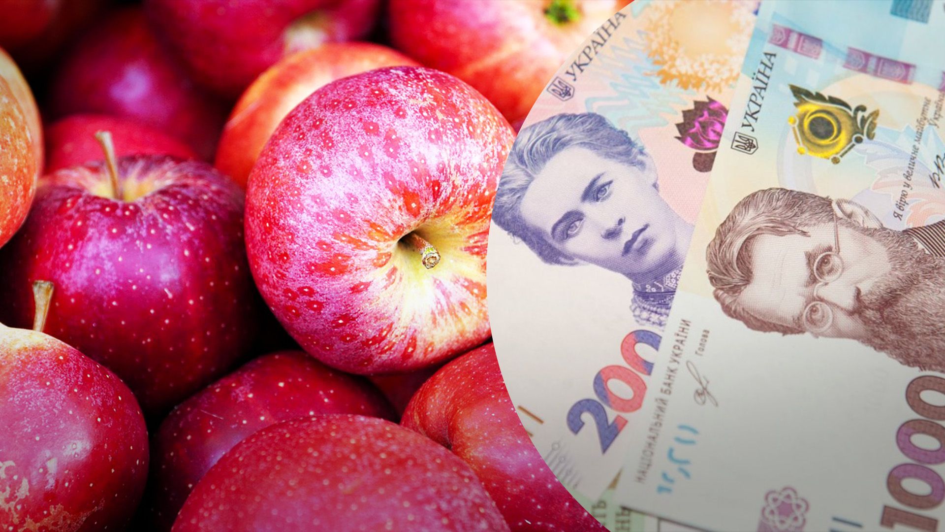 Яблука можуть стати дефіцитними на українському ринку Яблука можуть стати дефіцитними на українському ринку