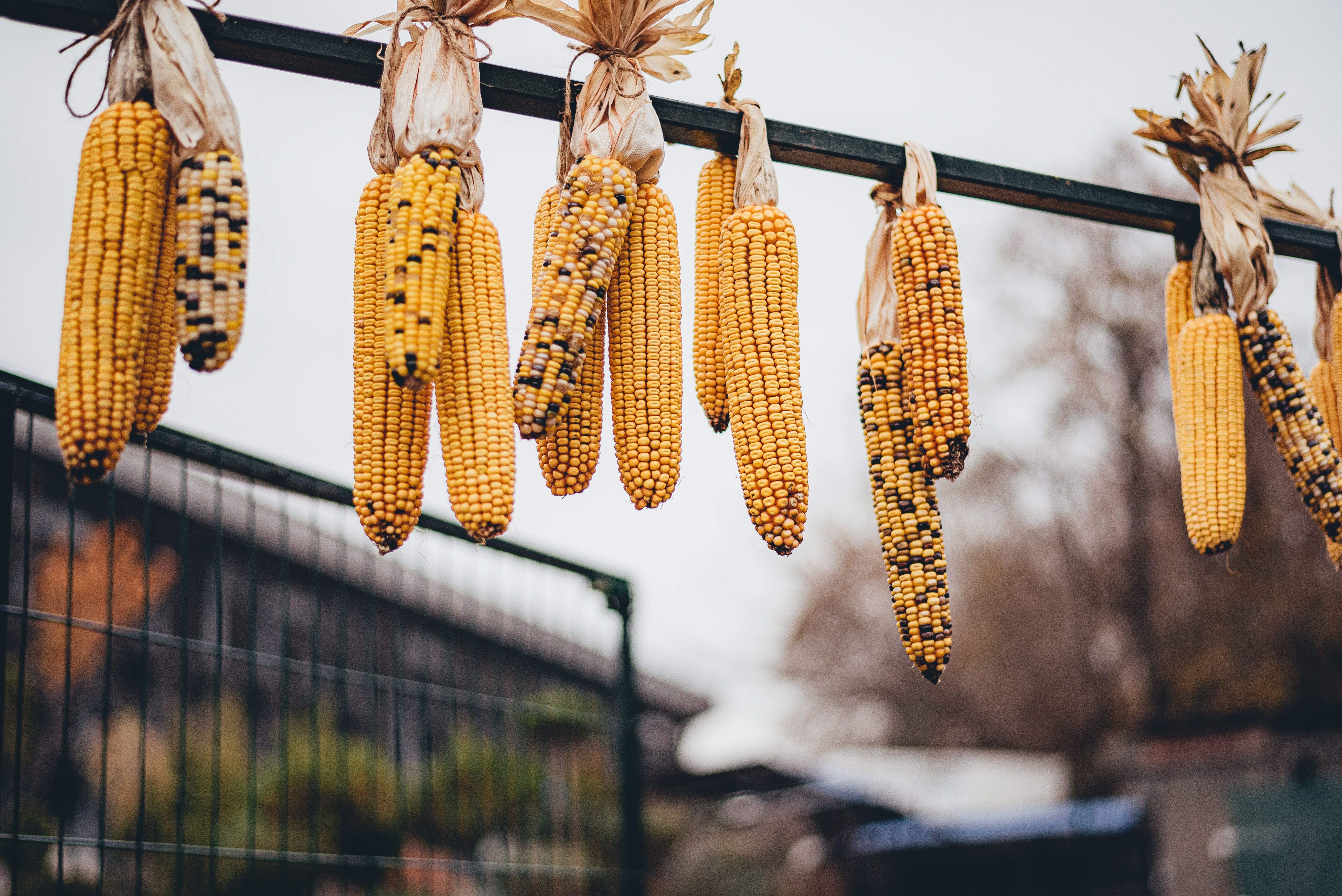 Погода осенью Погода осенью