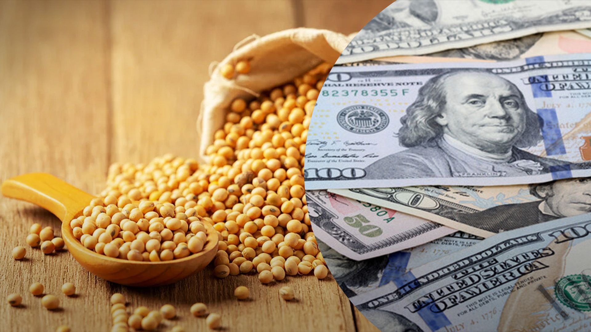 Цены на сою в Украине падают в цене Цены на сою в Украине падают в цене