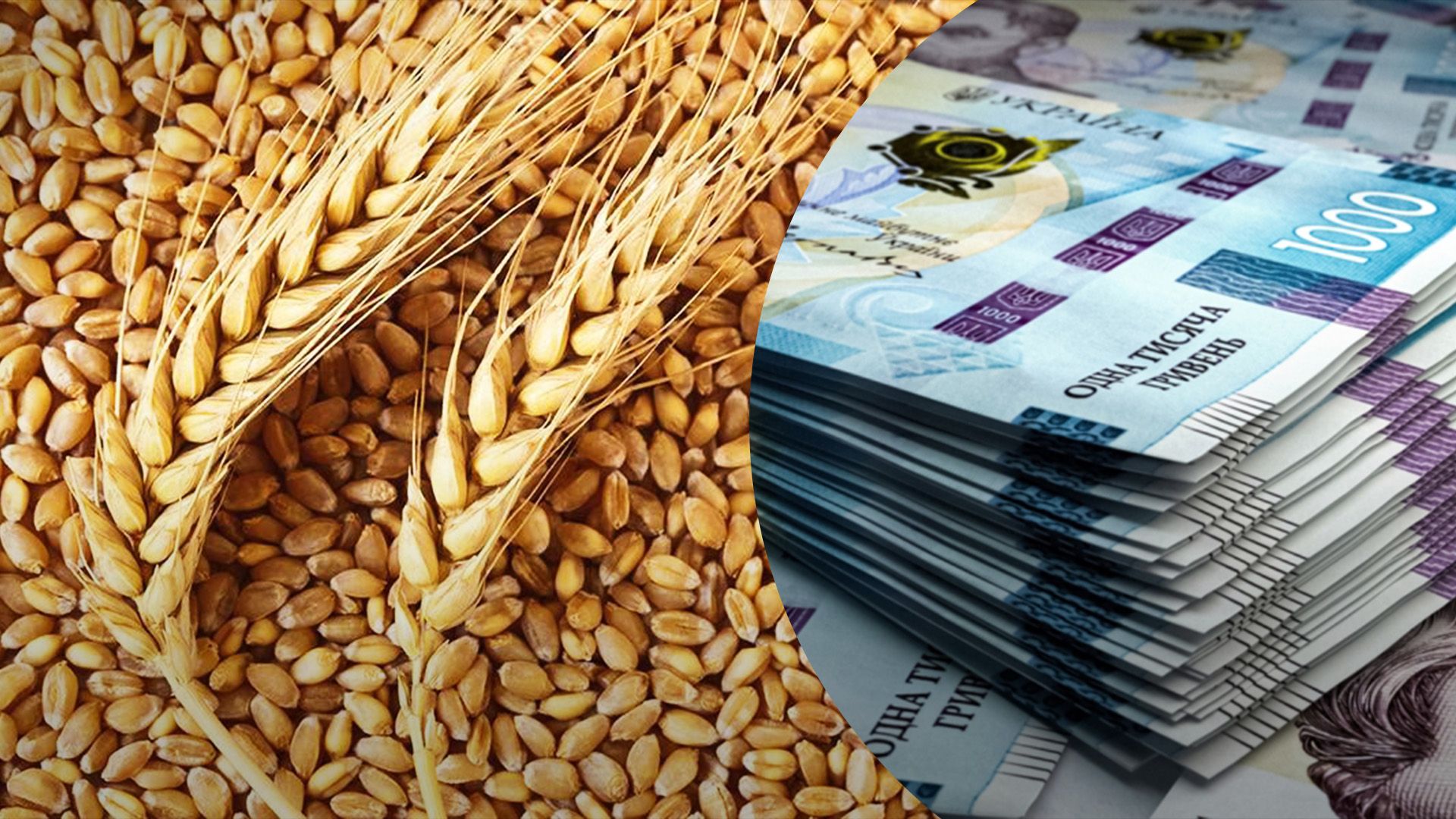 Озвучили нові ціни на зернові Озвучили нові ціни на зернові