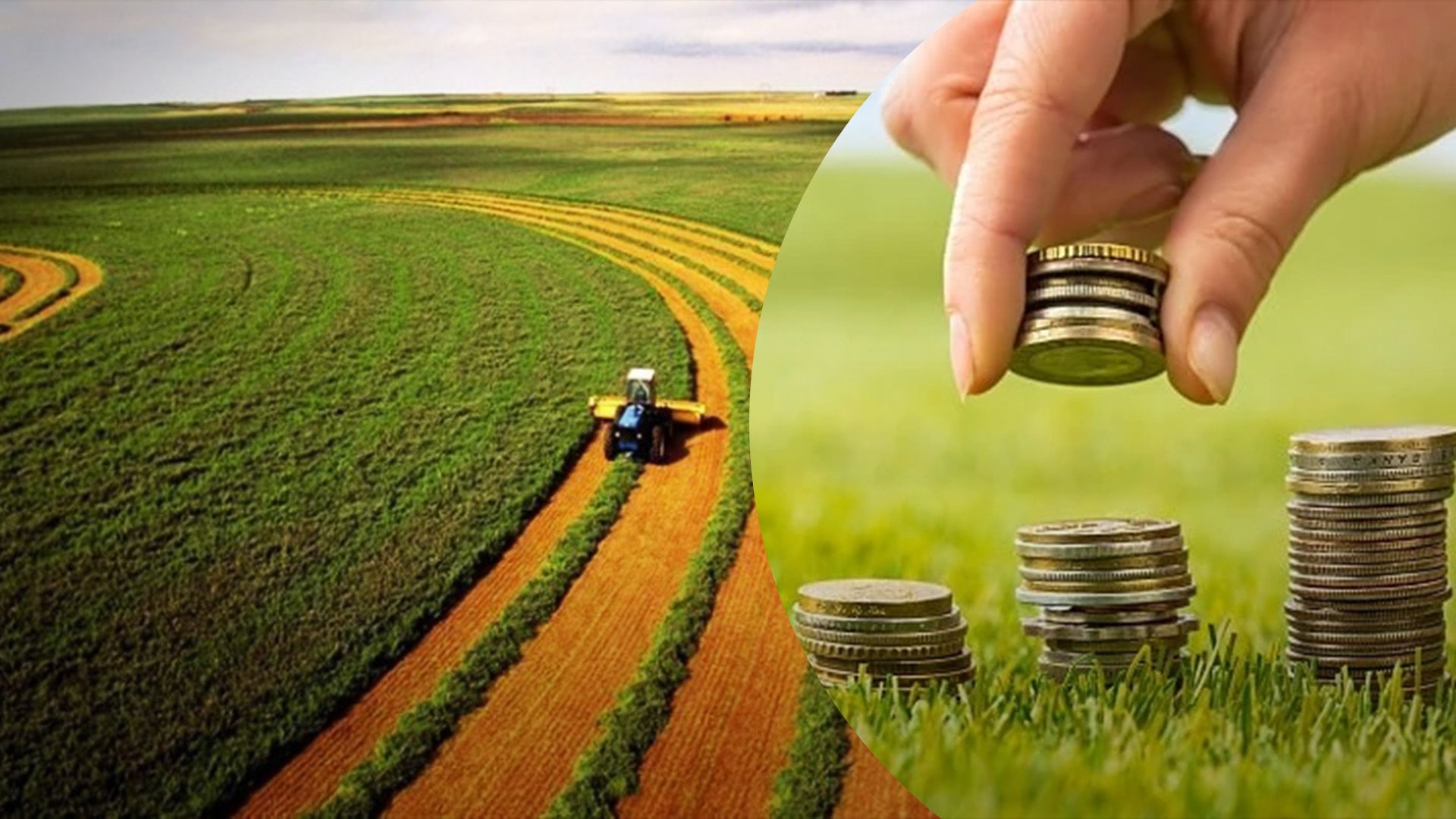 Кто может не платить налог на землю Кто может не платить налог на землю