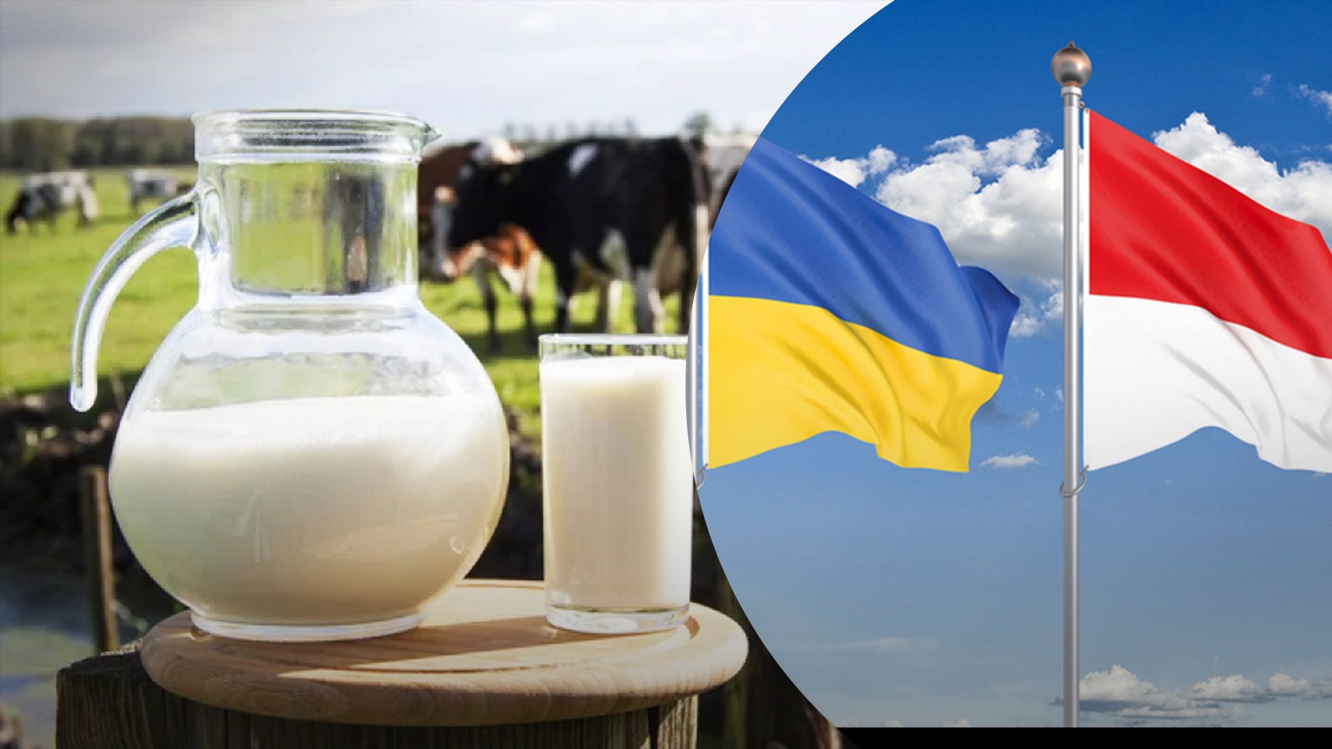 Украинские производители молокопродуктов будут экспортировать их в Индонезию Украинские производители молокопродуктов будут экспортировать их в Индонезию