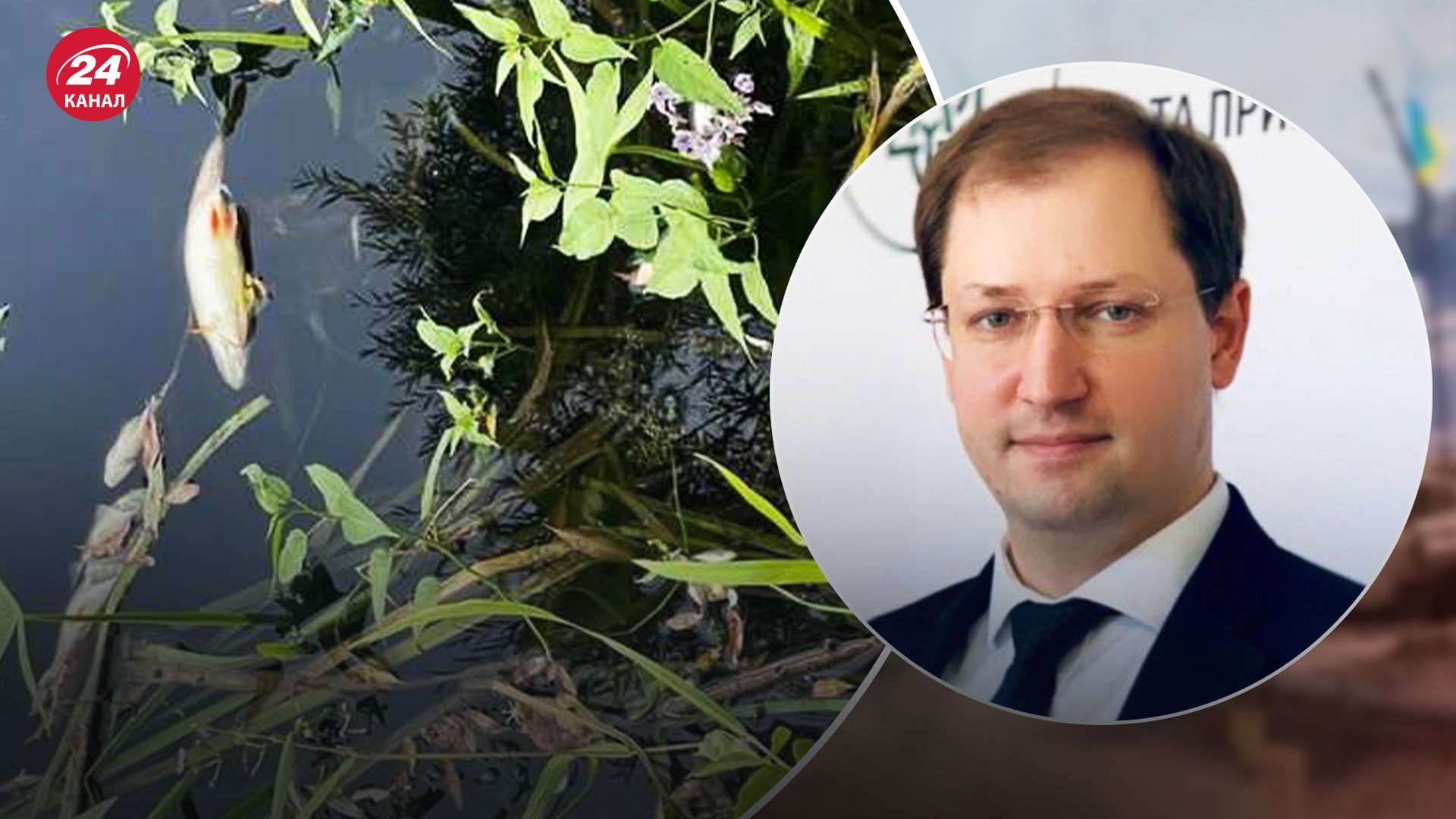 Что решили с загрязнением рек Сейм и Десна Что решили с загрязнением рек Сейм и Десна