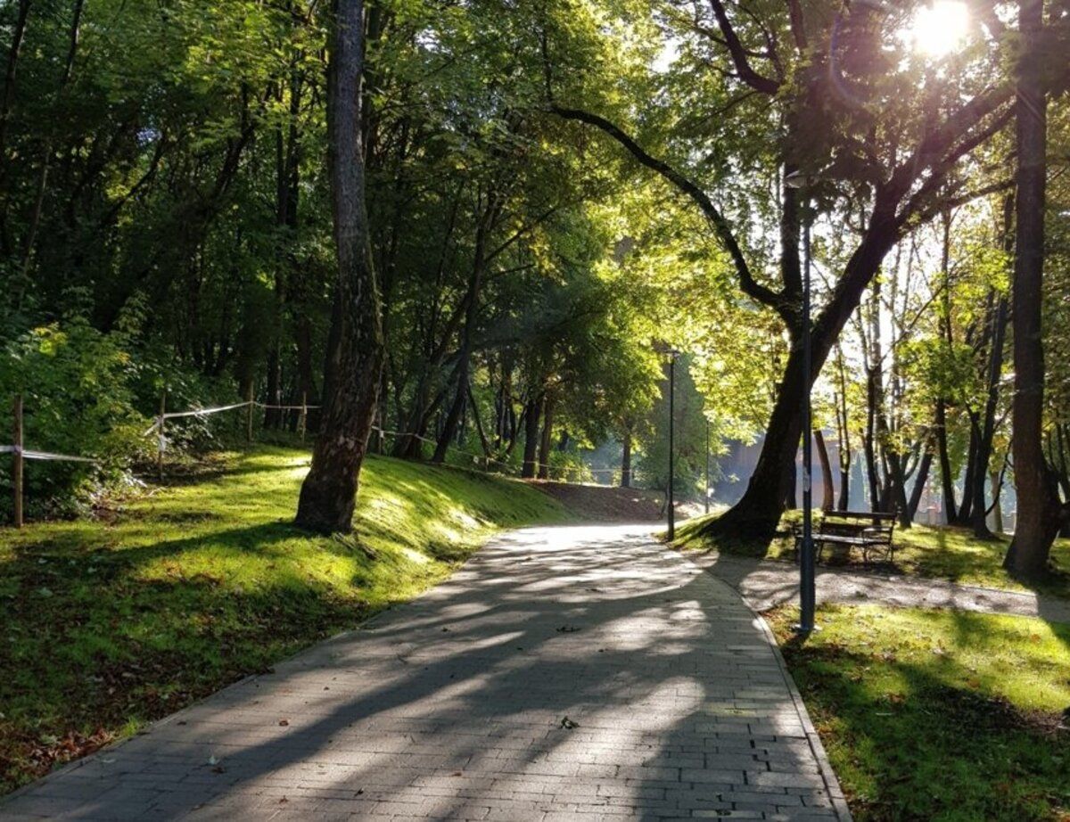 парк - Тренди парк - Тренди