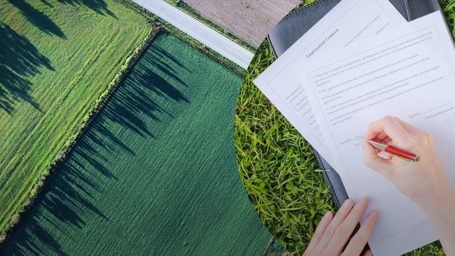 Хто може отримати землю безкоштовно Хто може отримати землю безкоштовно