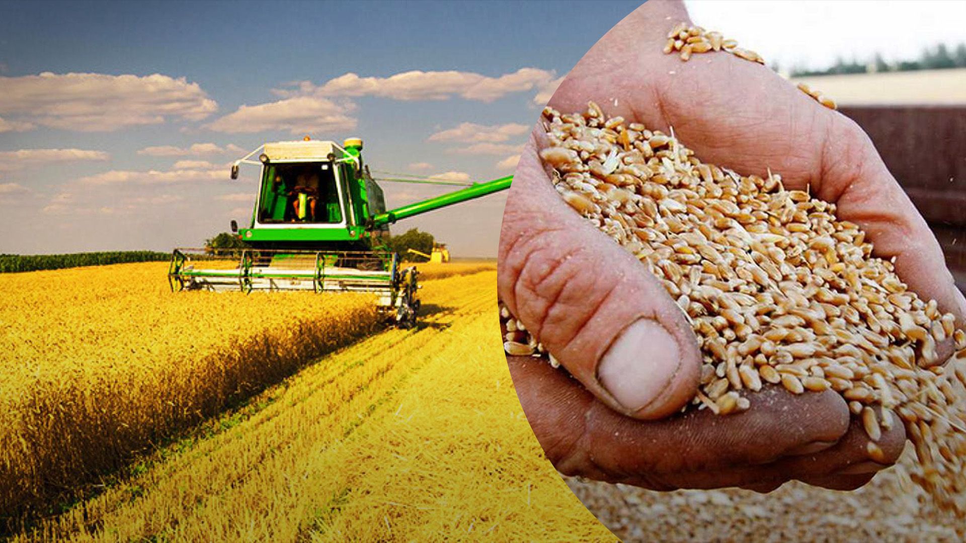 Сколько зерна уже намолотили Сколько зерна уже намолотили