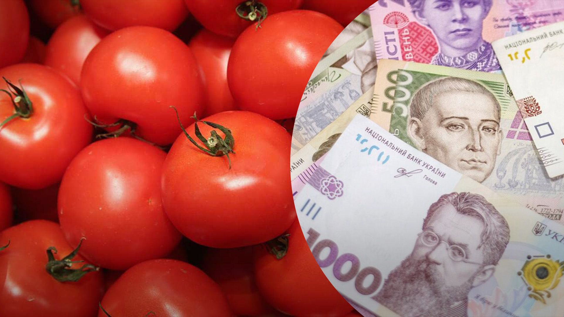 Помідори дорожчають третій тиждень Помідори дорожчають третій тиждень