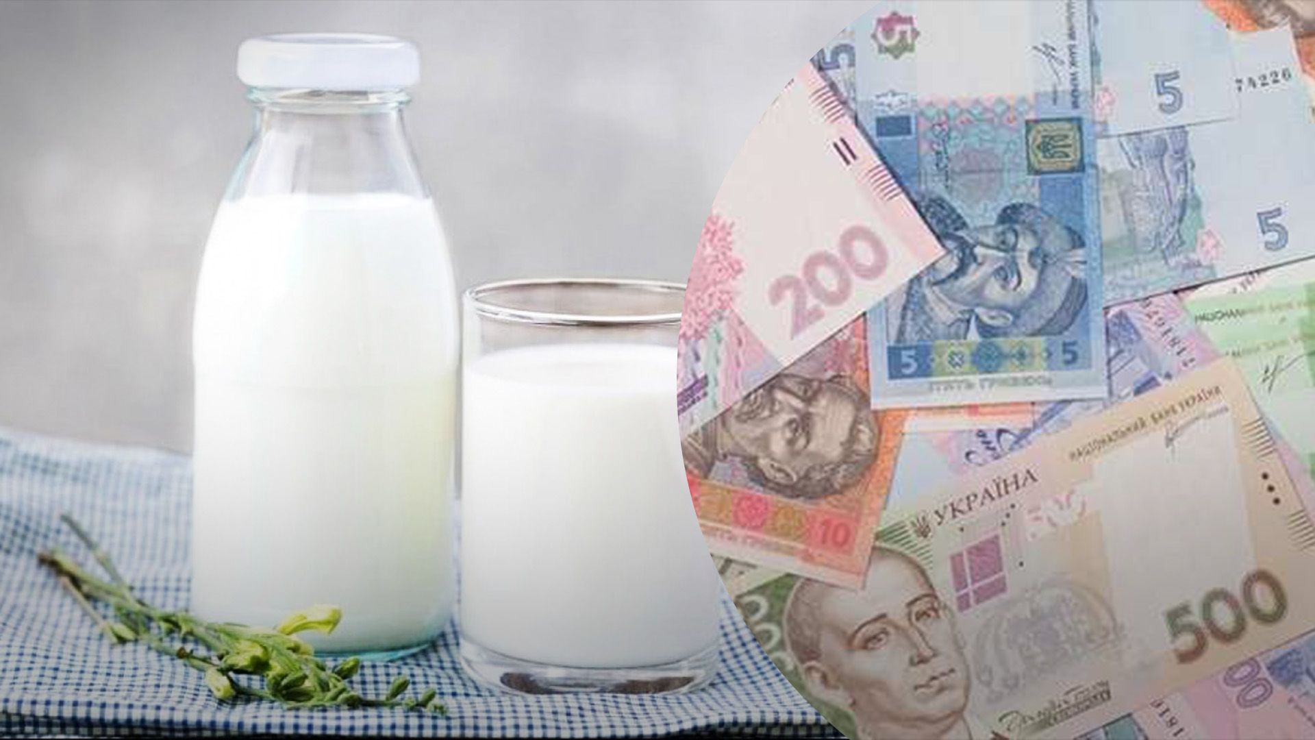 Молоко дорожает из-за масла и жары Молоко дорожает из-за масла и жары