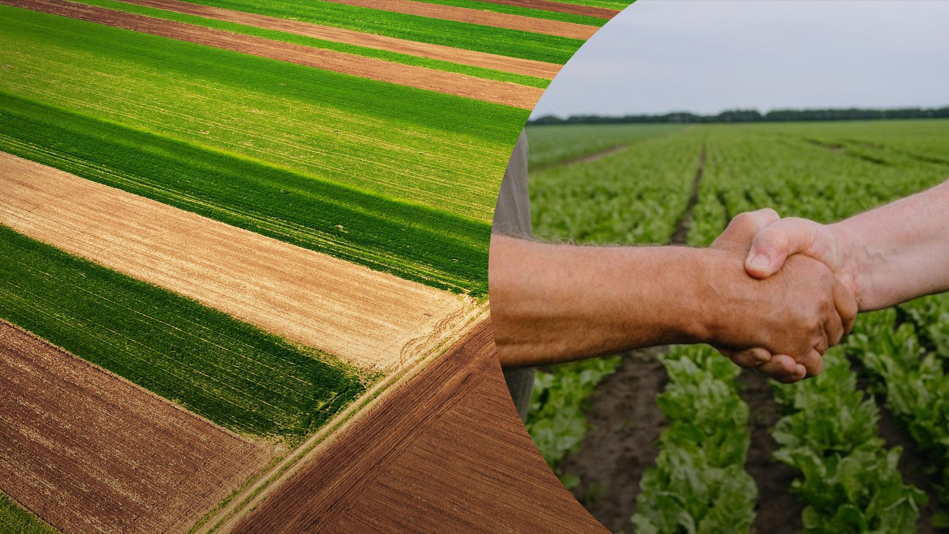 В Україні почав діяти земельний банк В Україні почав діяти земельний банк