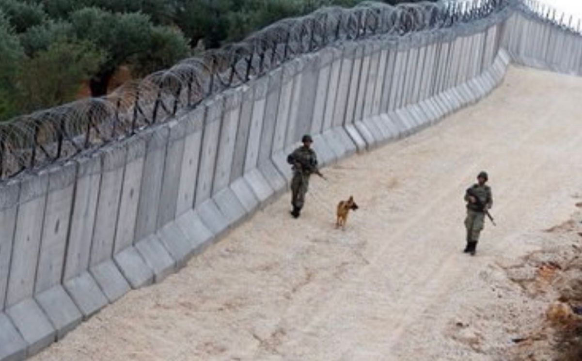 На турецькому кордоні вилучили десятки екзотичних тварин На турецькому кордоні вилучили десятки екзотичних тварин