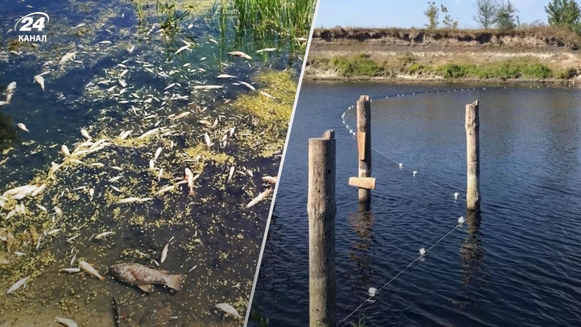 Река Сейм на Черниговщине загрязнена Река Сейм на Черниговщине загрязнена