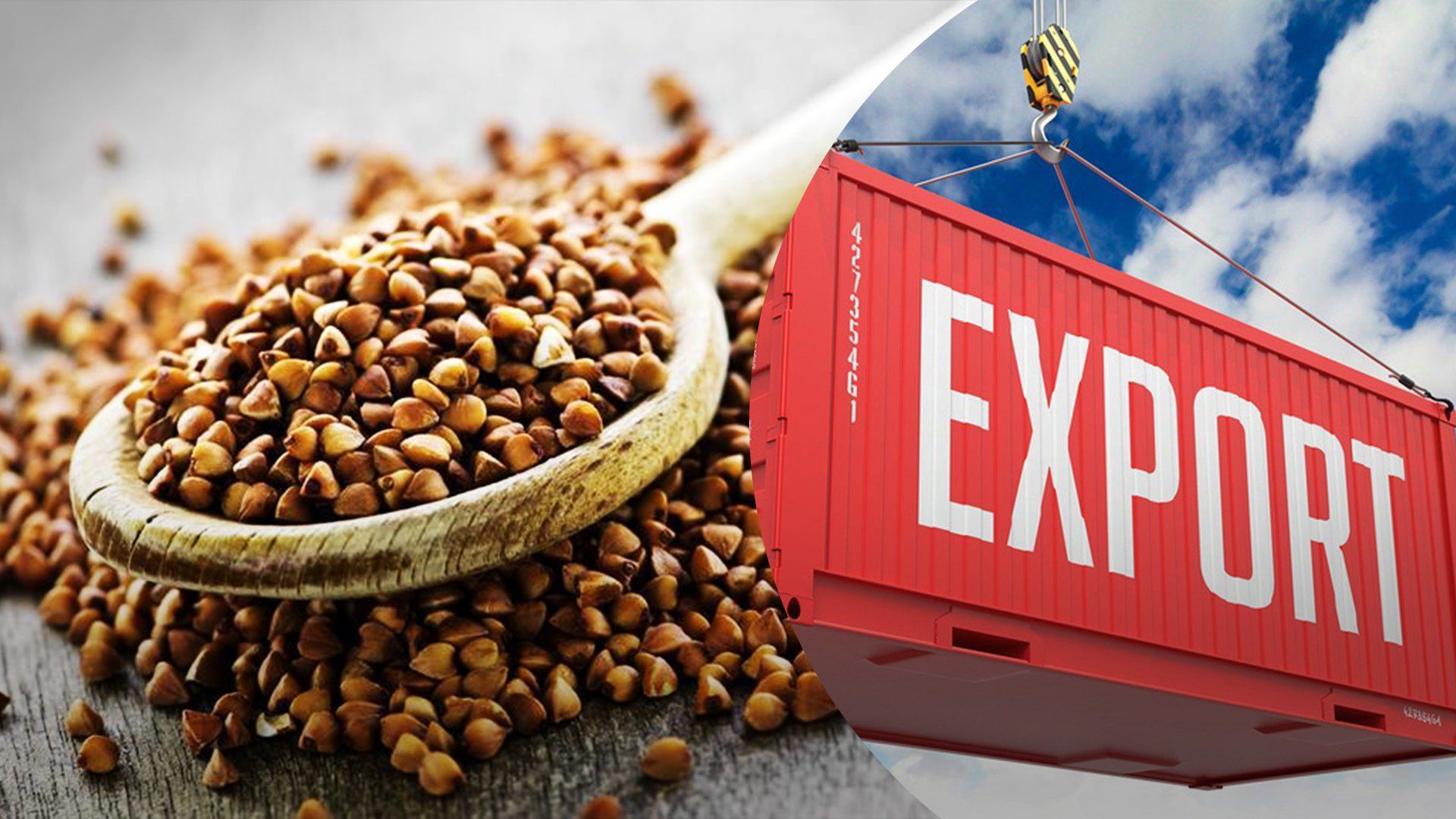 Україна може втратити деякі експортні напрямки гречки Україна може втратити деякі експортні напрямки гречки