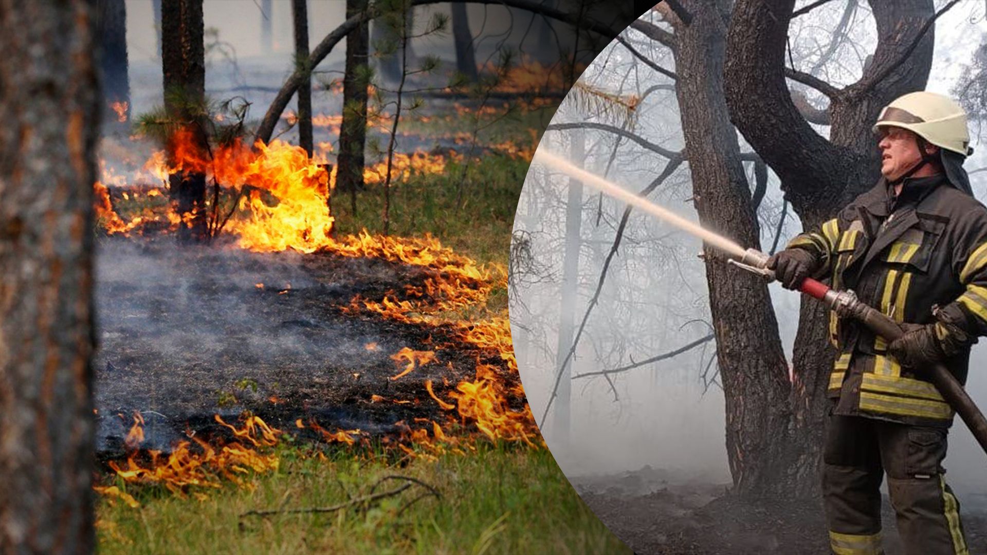 Синоптики предупредили жителей Киевской области Синоптики предупредили жителей Киевской области