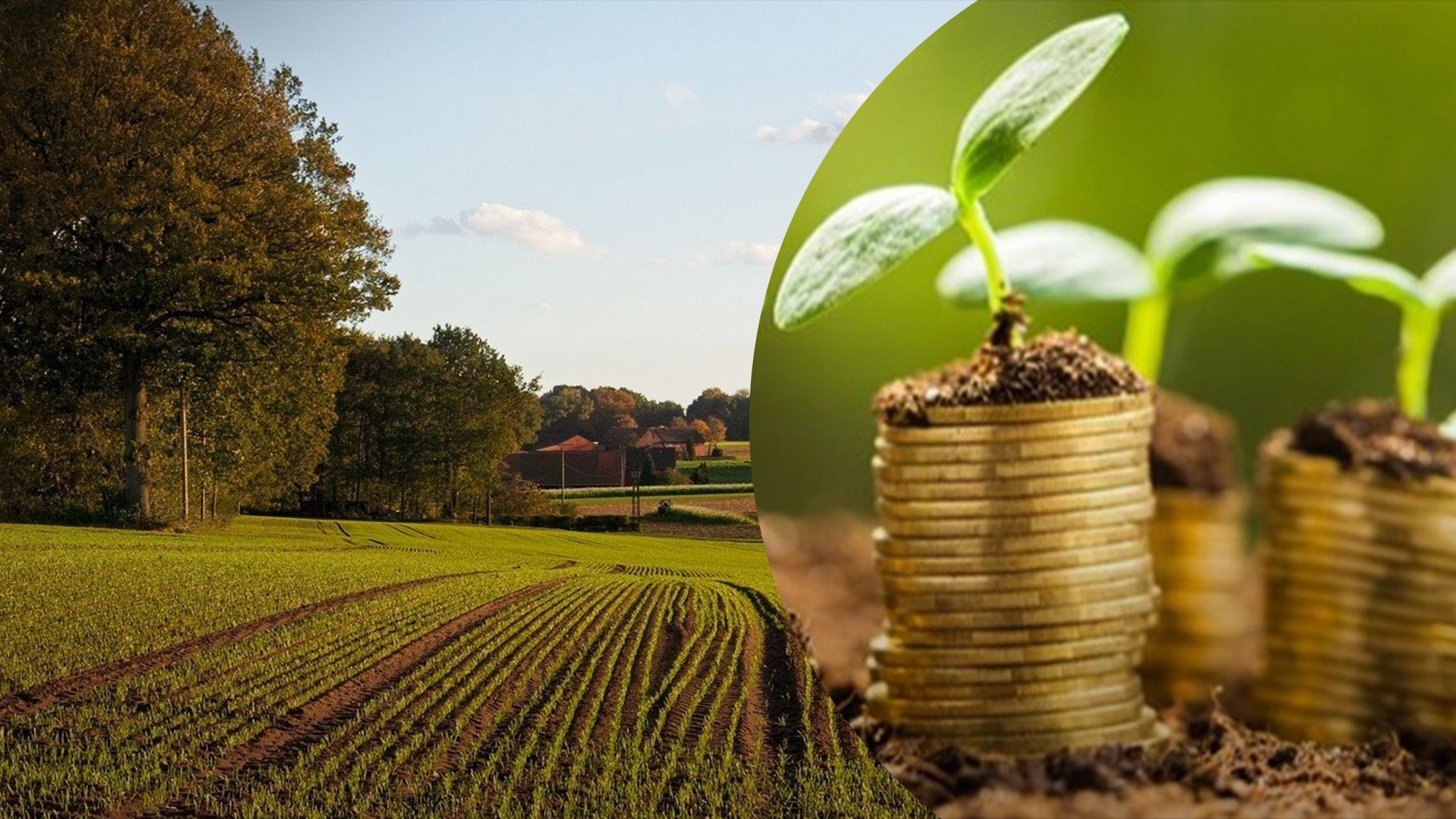 Як визначити суму податку на землю Як визначити суму податку на землю