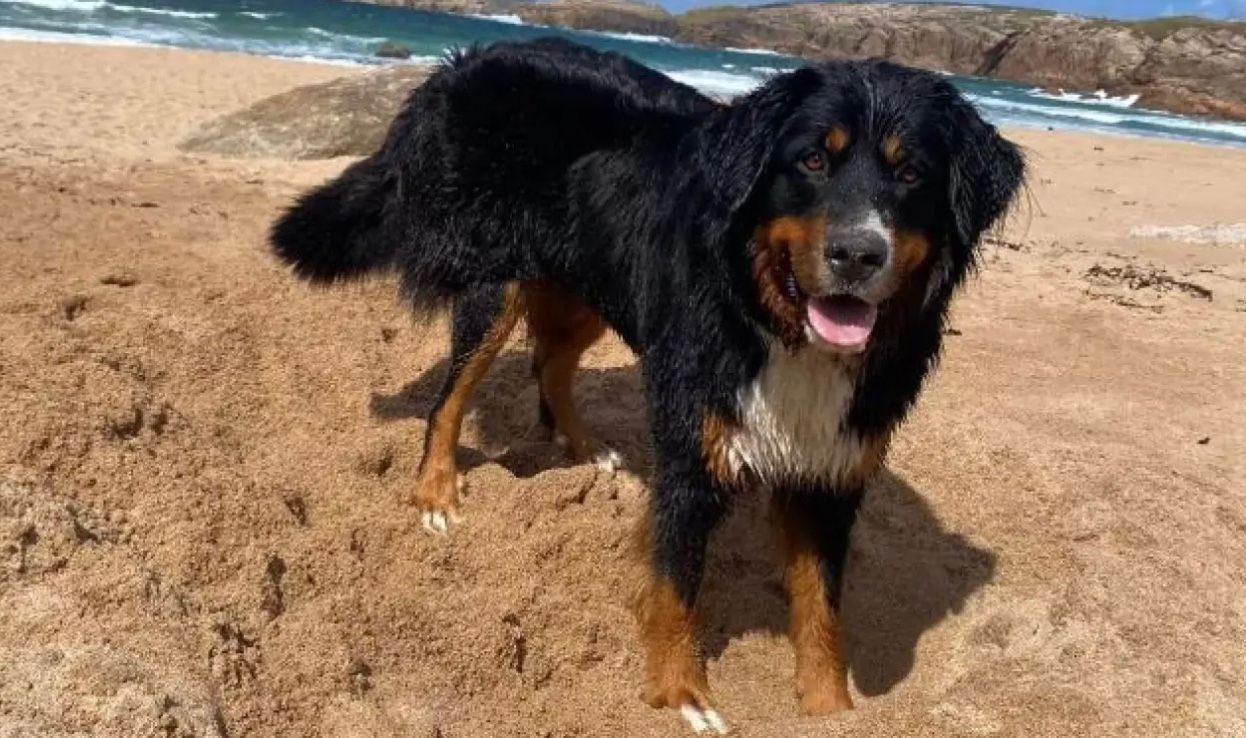 Мали чудом избежал смерти Мали чудом избежал смерти