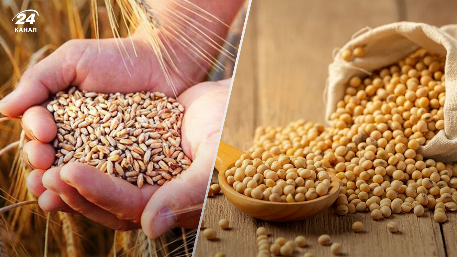 Цены на зерновые в сентябре Цены на зерновые в сентябре