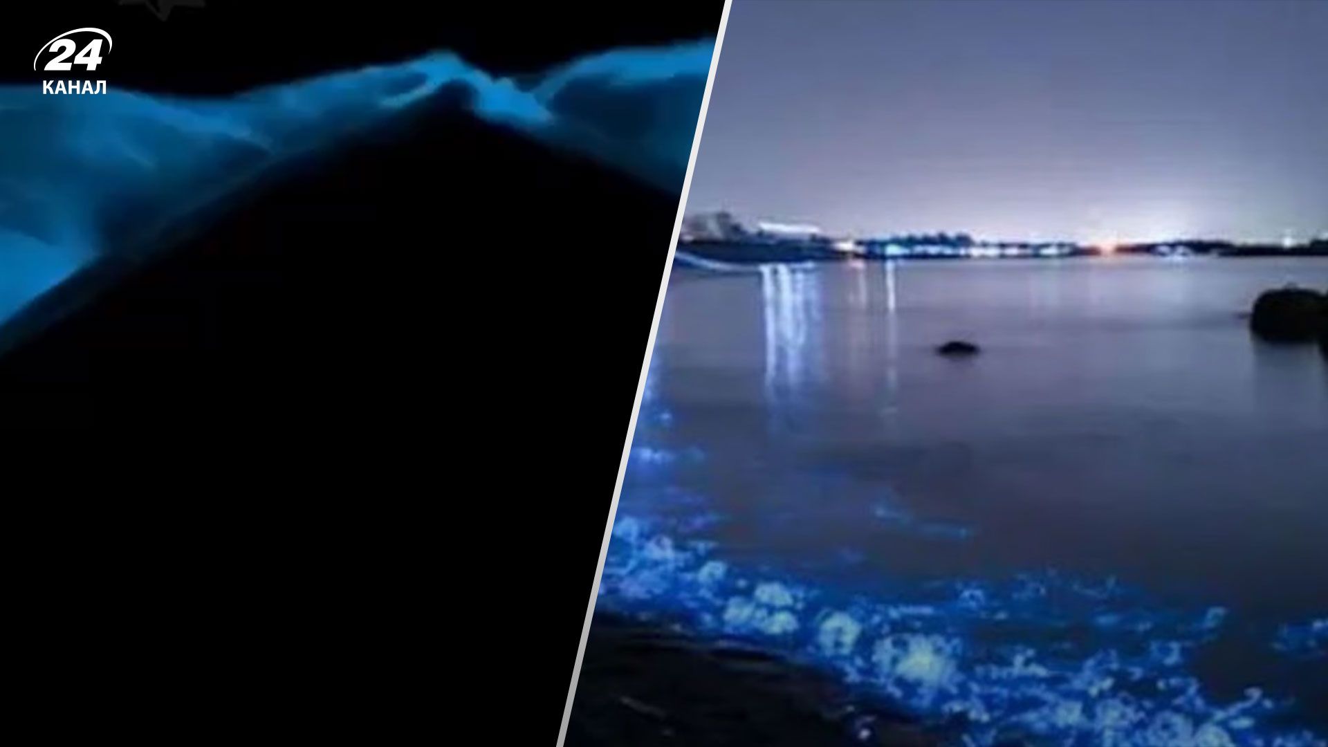 В Одессе светилось море В Одессе светилось море