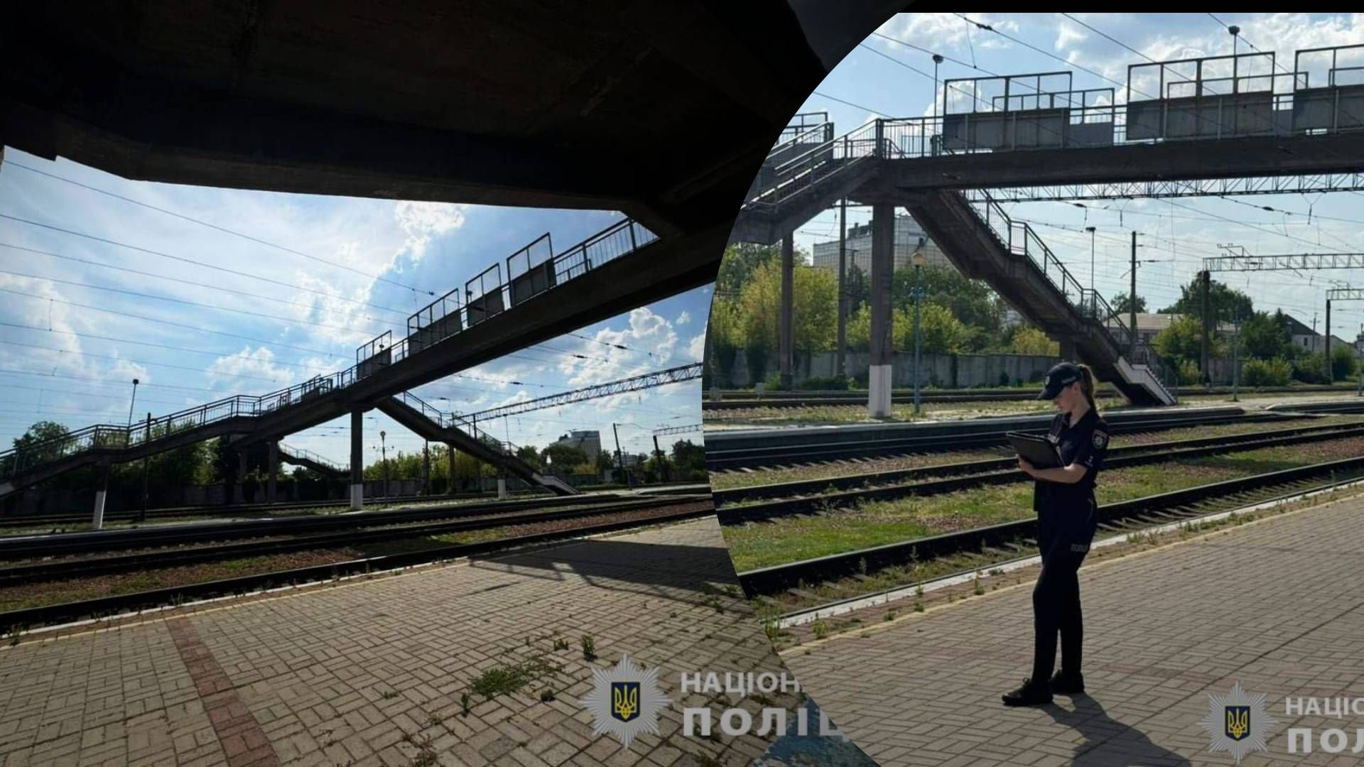 На Київщині жінка кинула собаку з моста: їй повідомили про підозру - 24 Канал