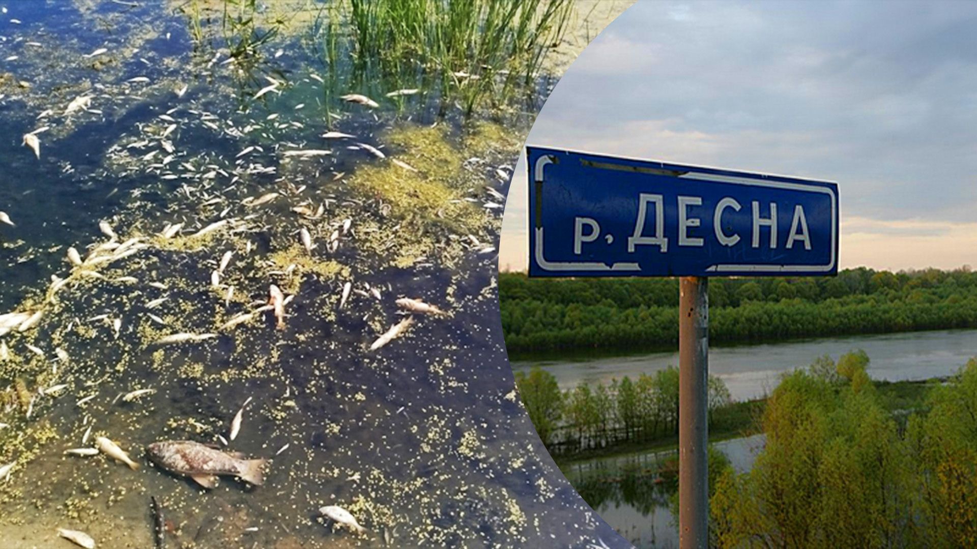 У Чернігові погіршилася якість води у Десні