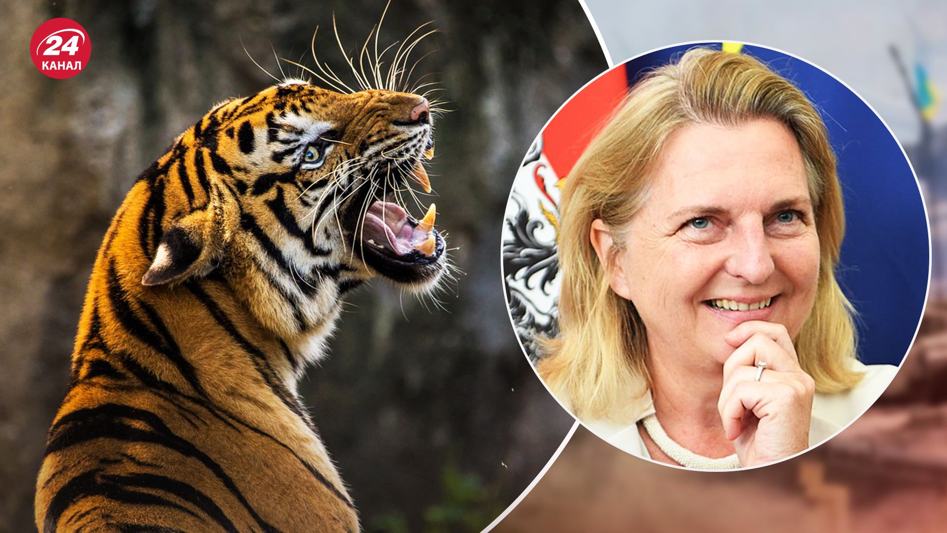 Карін Кнайсль, ексглава МЗС Австрії, буде опікуватися амурськими тиграми в Росії - 24 Канал Карін Кнайсль, ексглава МЗС Австрії, буде опікуватися амурськими тиграми в Росії - 24 Канал