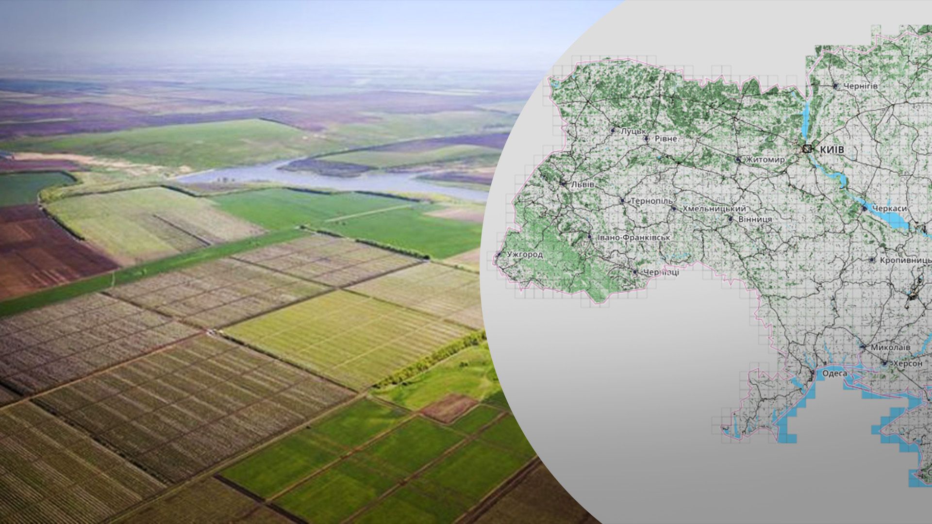 Как найти пай в процессе паевания: эксперты рассказали о действенном механизме - Агро 24 Как найти пай в процессе паевания: эксперты рассказали о действенном механизме - Агро 24