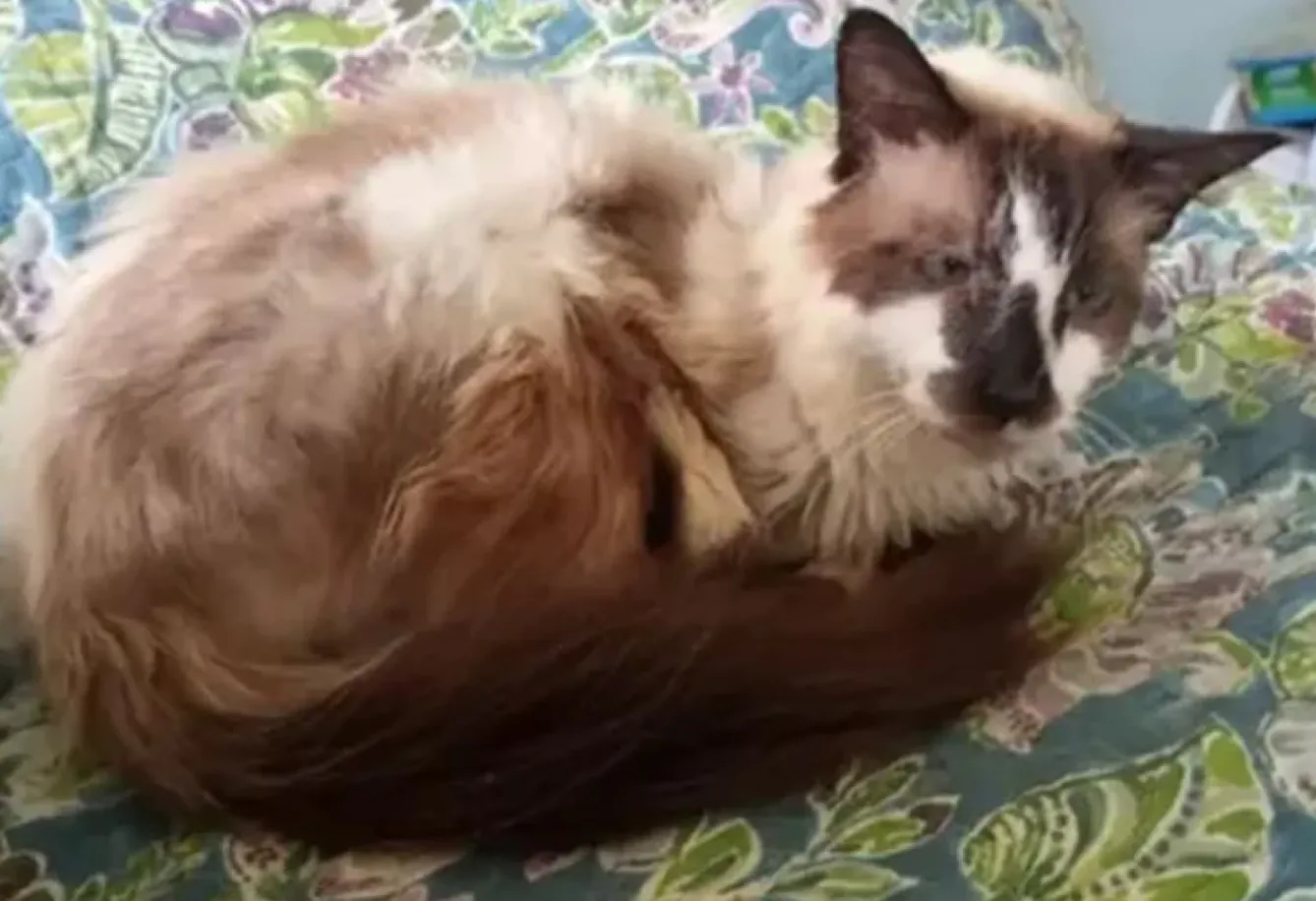 Сем помітно постарів та схуд Сем помітно постарів та схуд