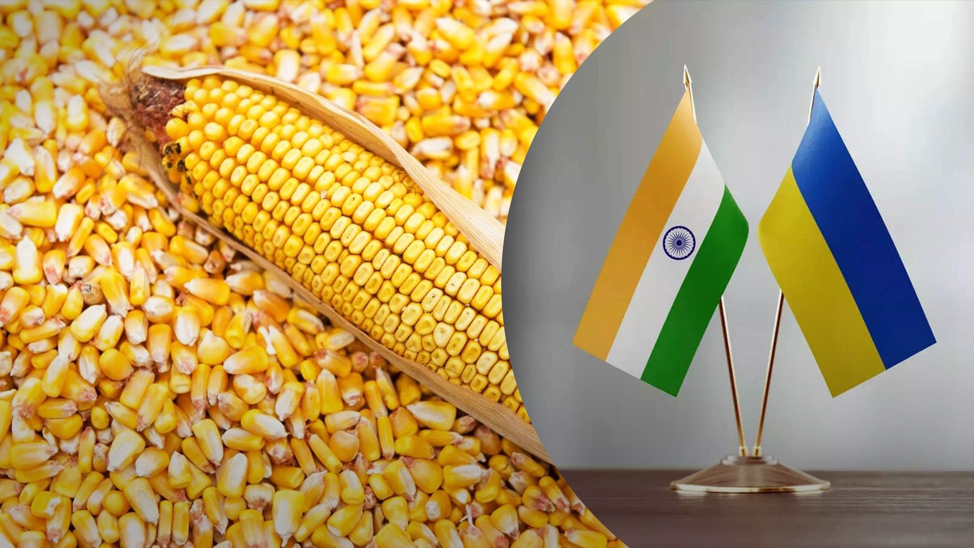 Украина начала больше экспортировать кукурузы в Индию Украина начала больше экспортировать кукурузы в Индию
