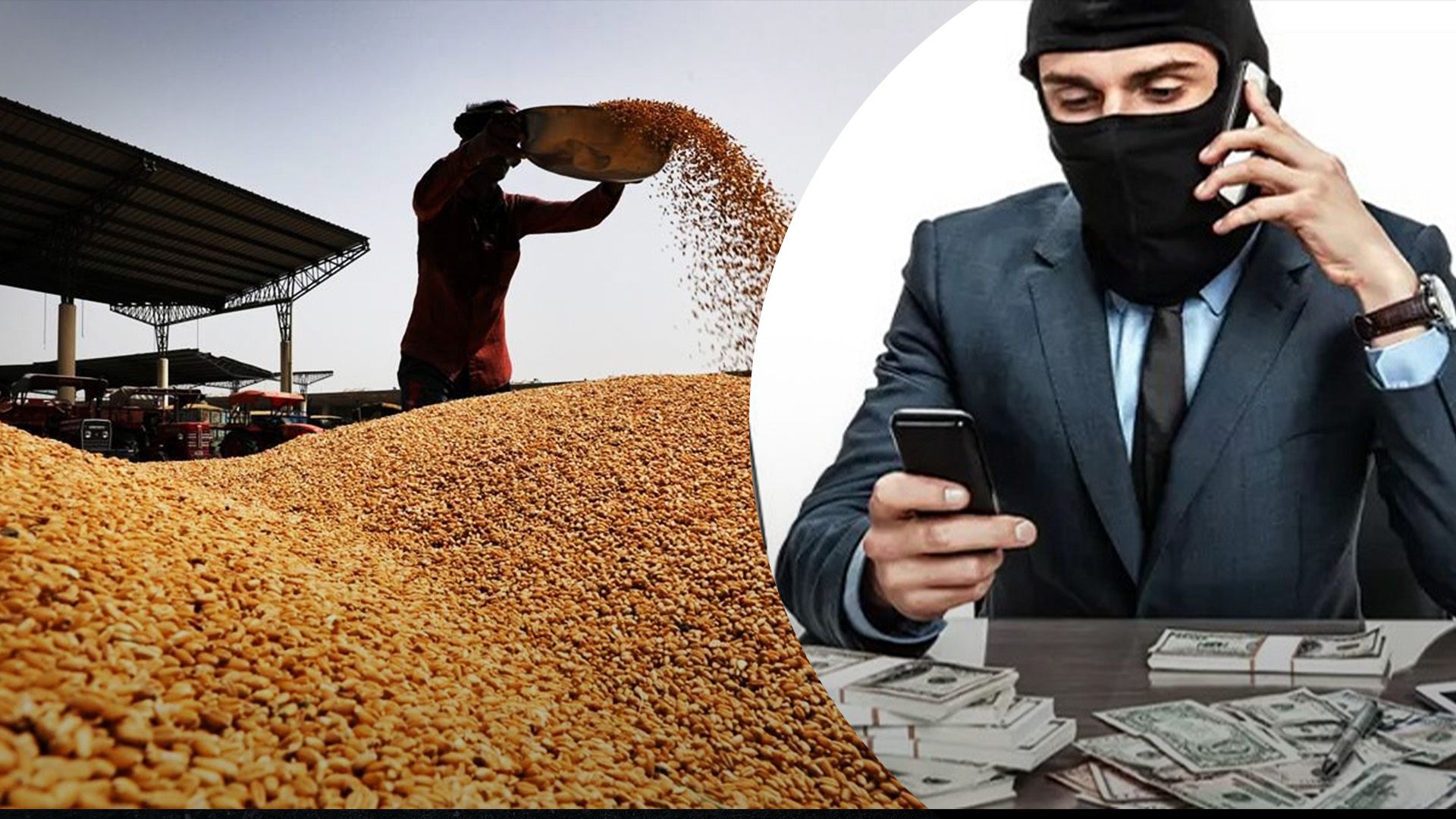 В Украине на зерне украли 70 миллионов В Украине на зерне украли 70 миллионов