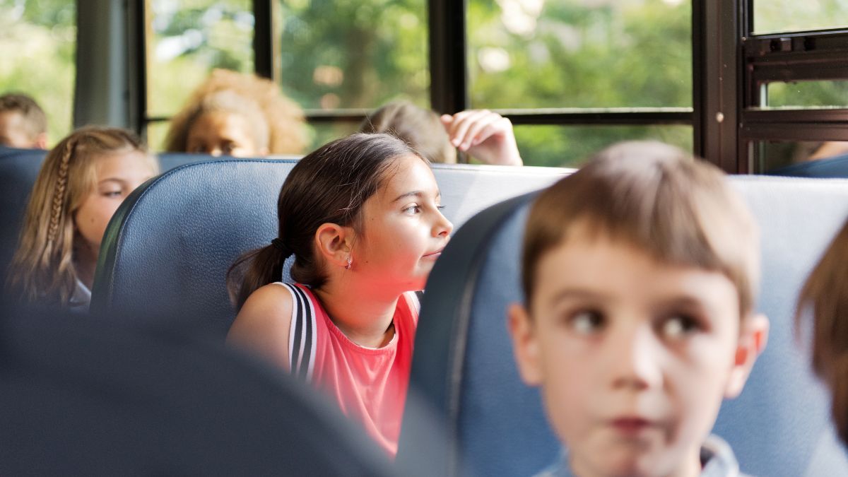 Льготы на проезд школьникам Льготы на проезд школьникам