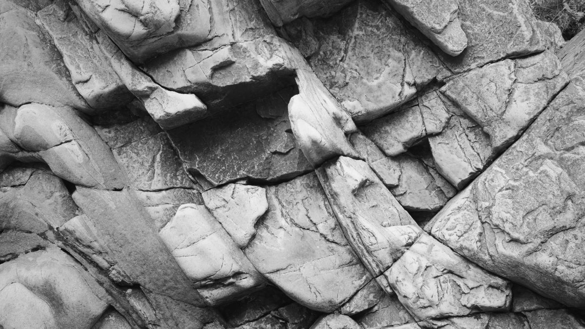 Самый большой в мире кусок янтаря использовали для подпирания дверей более 30 лет Самый большой в мире кусок янтаря использовали для подпирания дверей более 30 лет