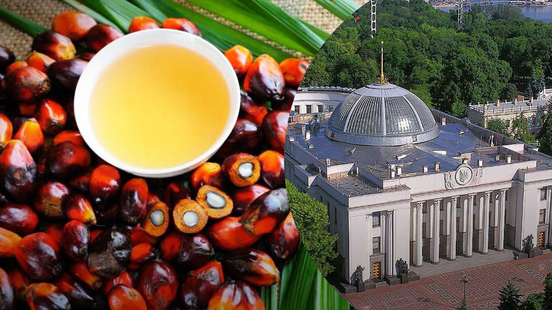 Верховная Рада запретила пальмовое масло Верховная Рада запретила пальмовое масло