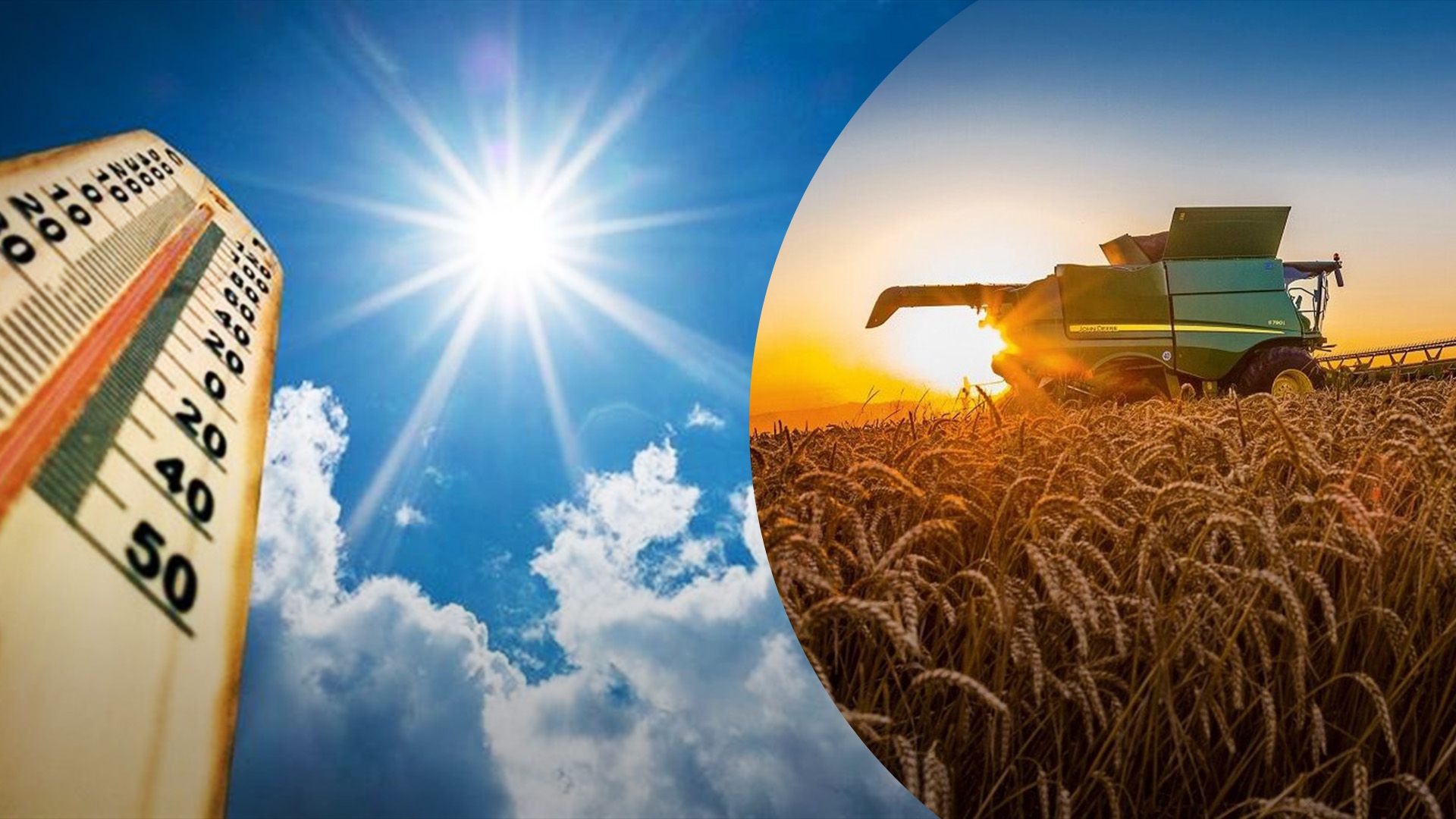 Як глобальна спека вплинула на сільське господарство України Як глобальна спека вплинула на сільське господарство України