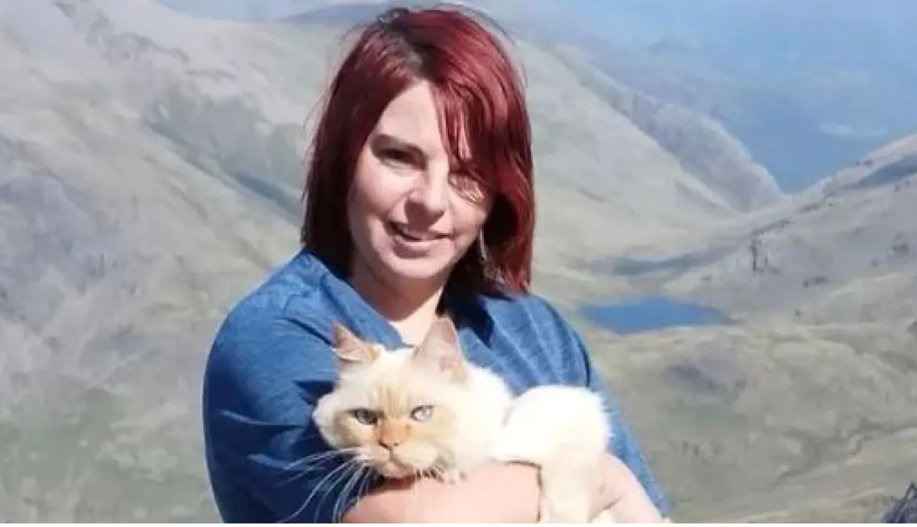 Персидский кот Луис покорил 3 самые высокие вершины Британии Персидский кот Луис покорил 3 самые высокие вершины Британии