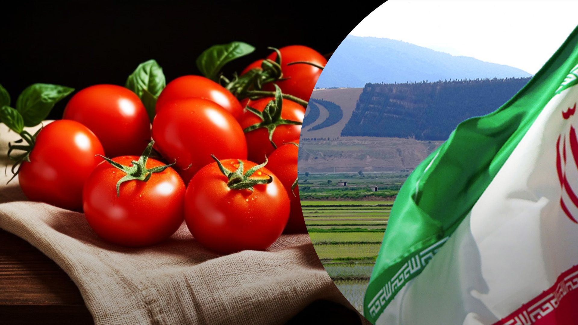 Иран увеличил экспорт агропродукции в Иран Иран увеличил экспорт агропродукции в Иран